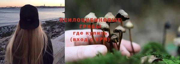 ешки Видное