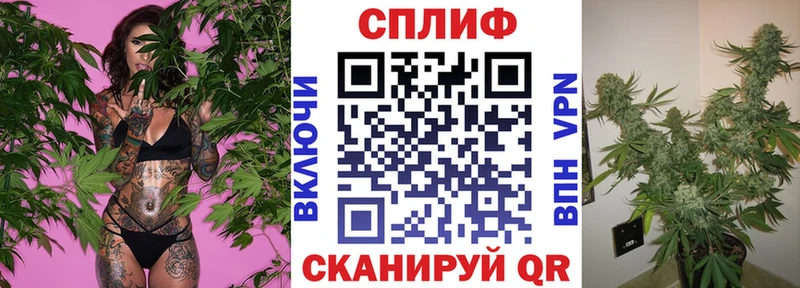как найти закладки  Обоянь  МЕГА ССЫЛКА  Каннабис тримм 